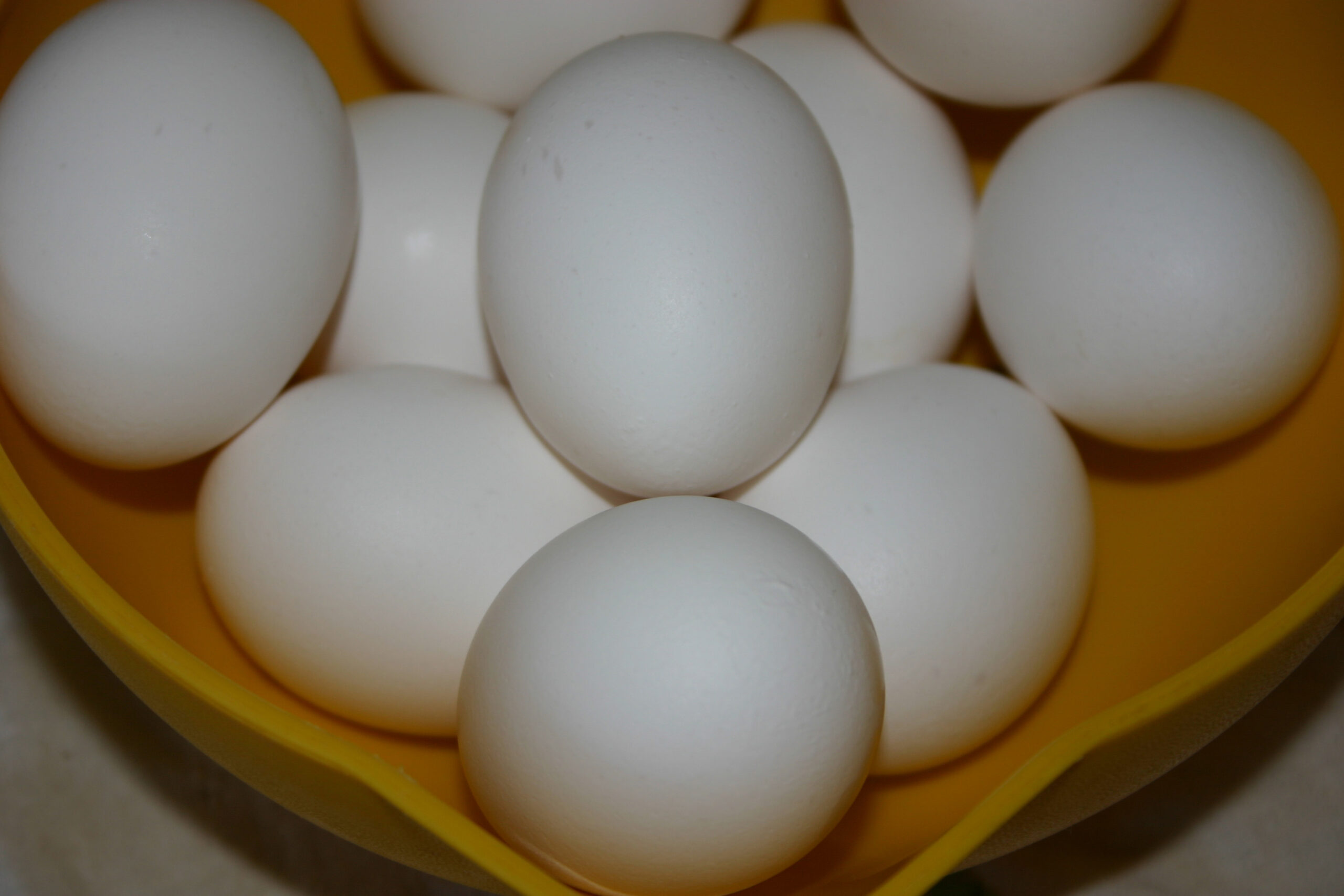 Poached Eggs with Tarragon Cream