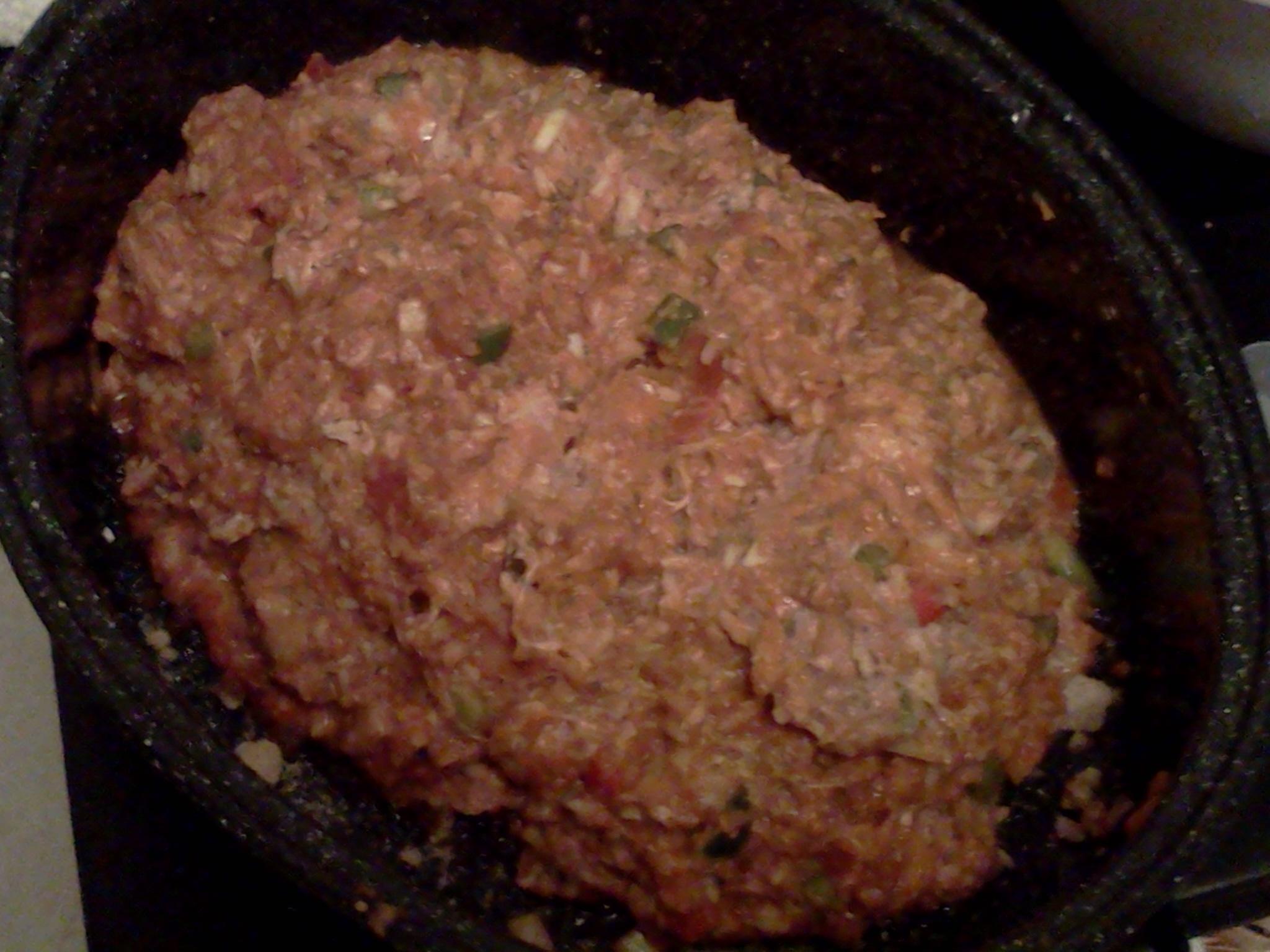 In a Snap Meat Loaf