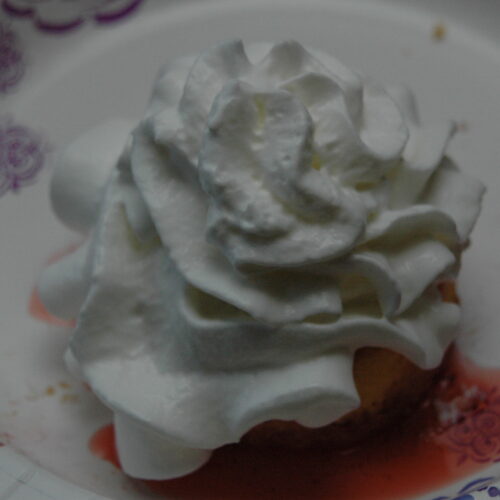 Strawberry Shortcake Photo