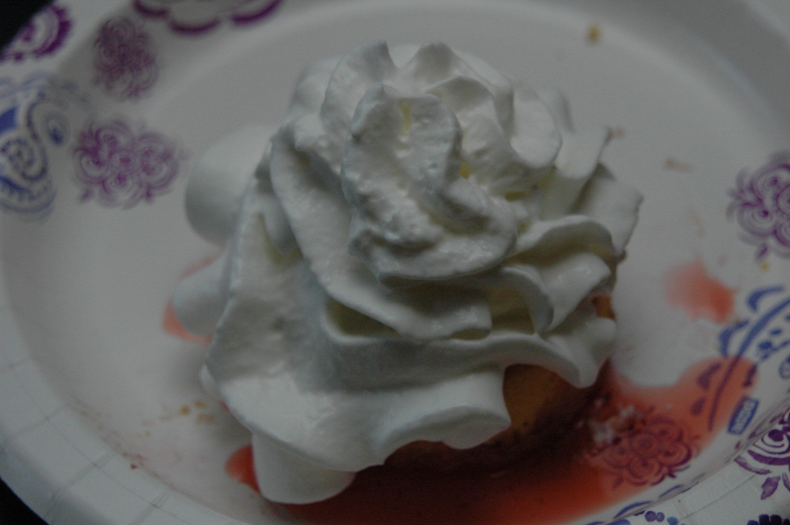 Strawberry Shortcake Photo