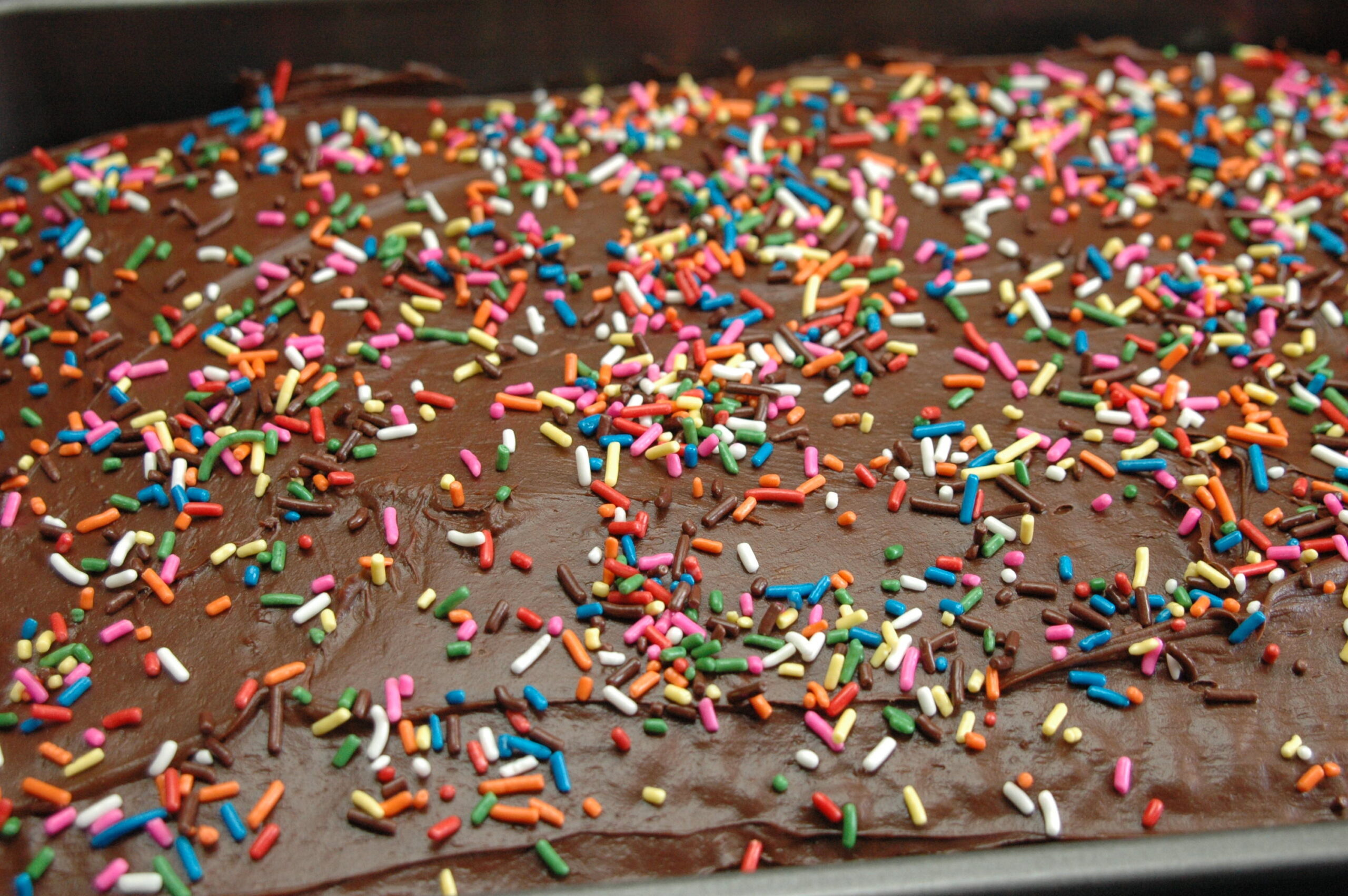 Chocolate Cake Photo