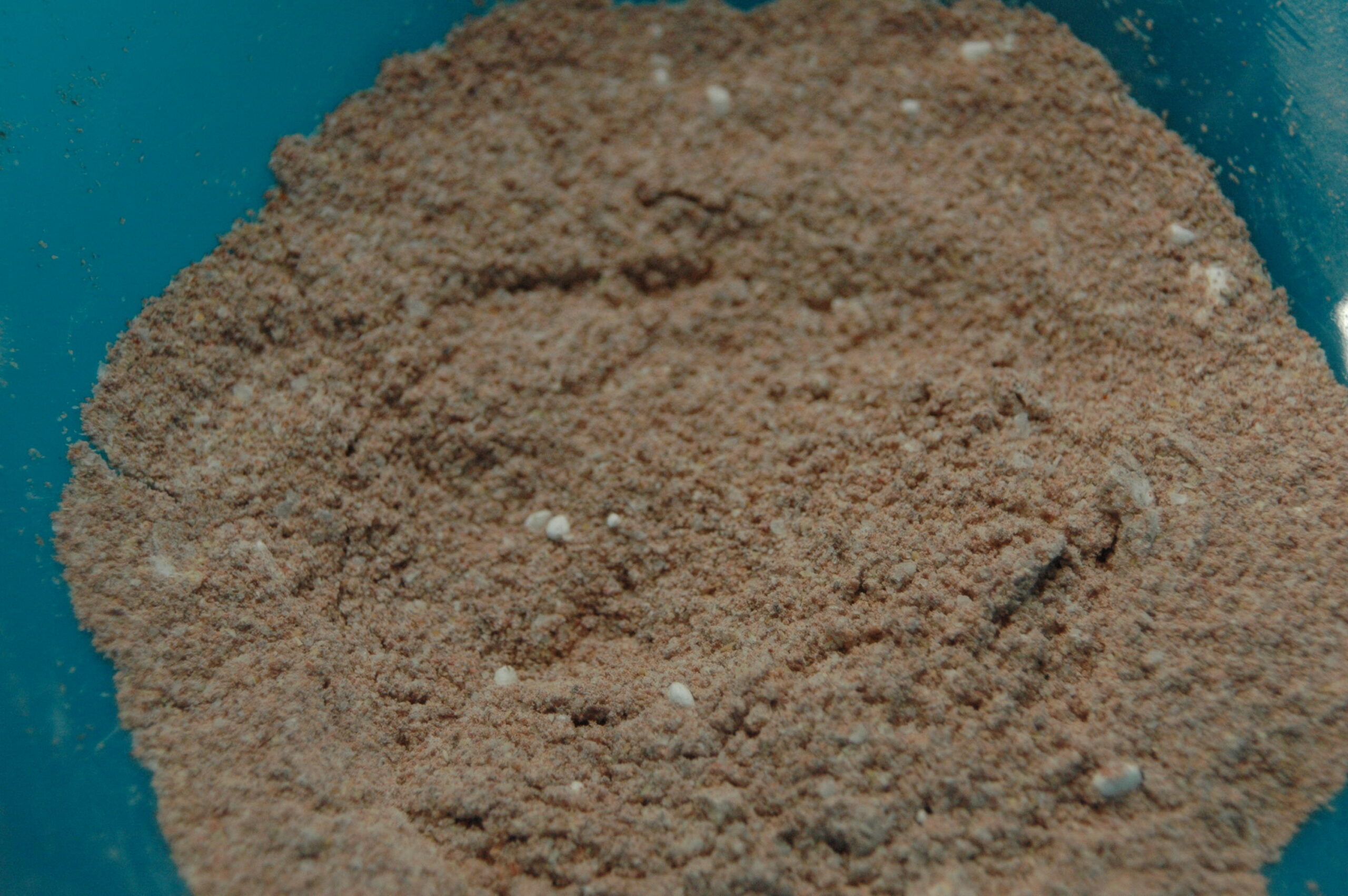 Fajita Seasoning Photo