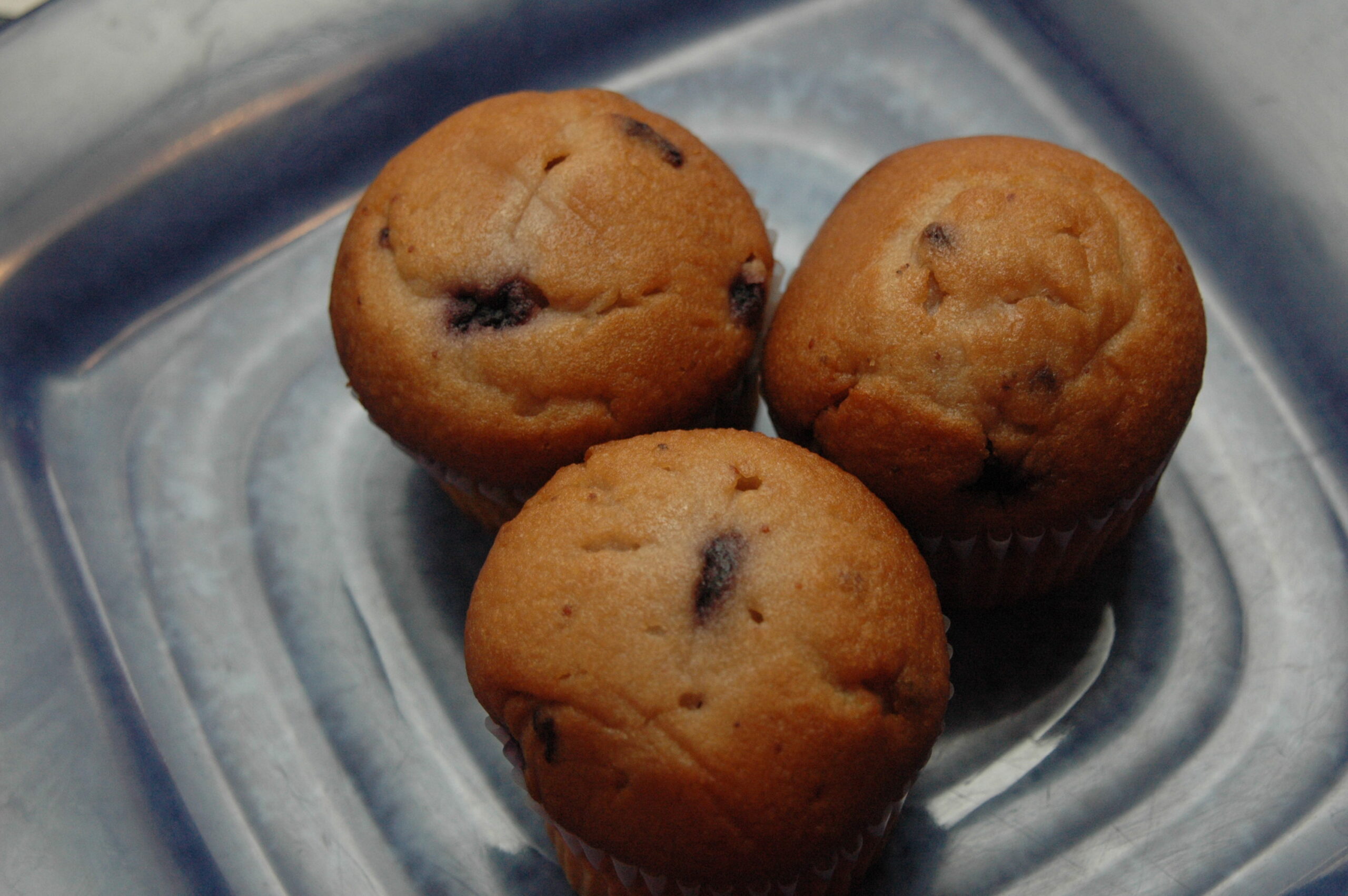 Blueberry Muffins